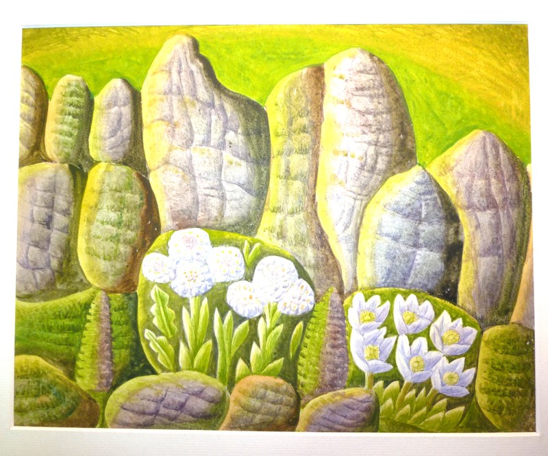 W4945-000 Willi Hartung - Bergblumen und Felsen.JPG