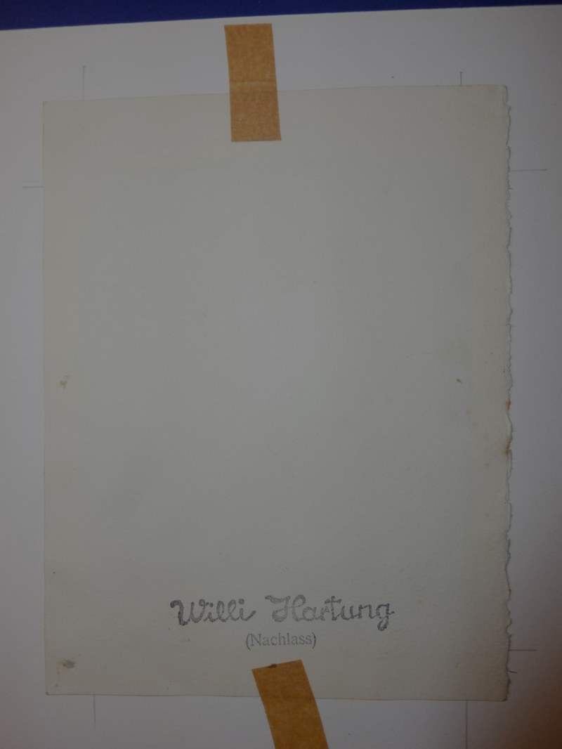 W4946-001 Willi Hartung - 2 Vögel - Hase - Orchideen - Wasserfall.JPG