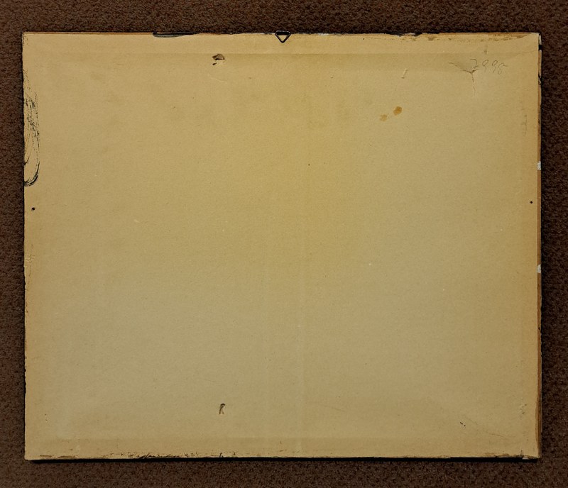 W4931-003 Hartung - Vogel im Gebirge - Rückseite.jpg